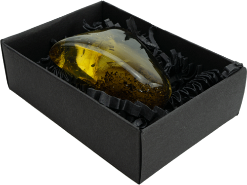 36,95 g Amber nugget (4)