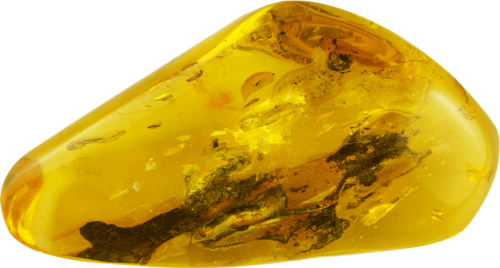Самородок янтаря с инклюзом 16,30 г (1)