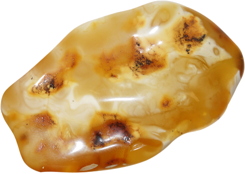 19 g Gintaro grynuolis (2)