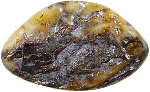 18,20 g Amber nugget (2)