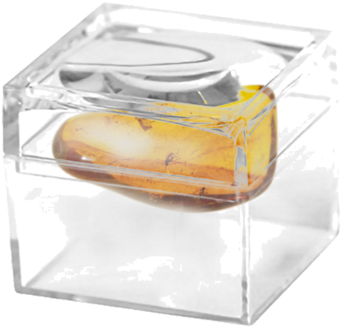 2,95 g Amber Nugget with inclusion (2)