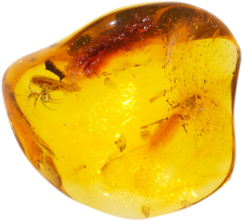 1,65 g Gintaro grynuolis su Voro inkliuzu (1)