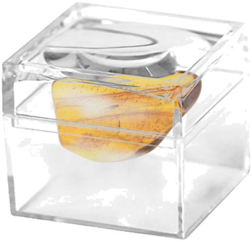 2,10 g Amber Nugget with inclusion (2)