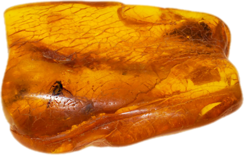 6,55 g Amber Nugget with inclusion (1)