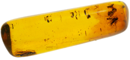 2,70 g Gintaro grynuolis su inkliuzais (1)