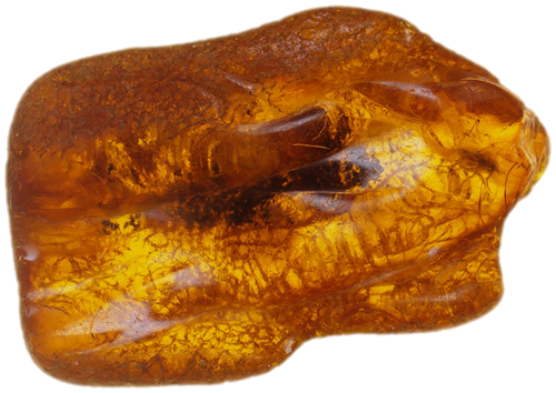 4,40 g Gintaro grynuolis su inkliuzu (1)