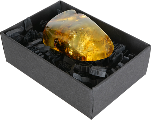 19,60 g Amber nugget (4)