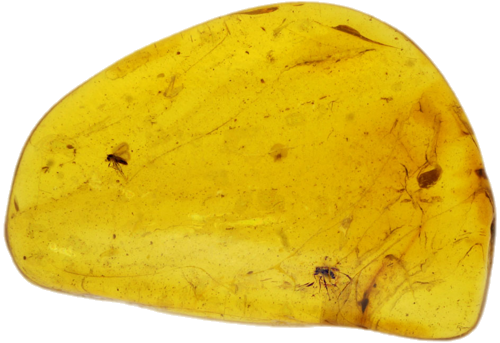 2,70 g Amber Nugget with inclusion (1)