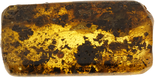 4,80 g Amber nugget (1)