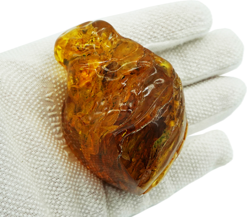87,25 g Amber Nugget with bug inclusion (1)