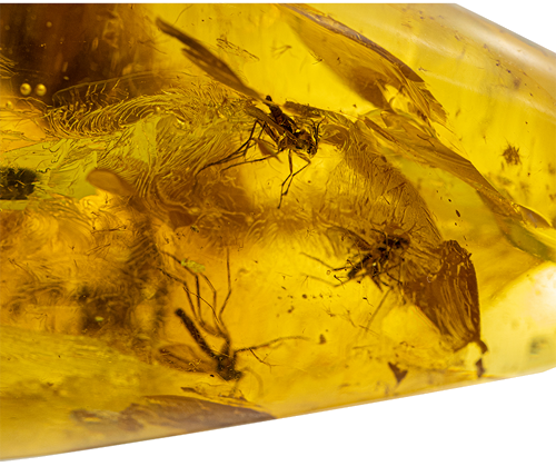 32,25 g Amber Nugget with inclusion (2)