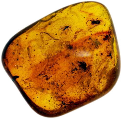5,15 g Amber Nugget with inclusion (1)