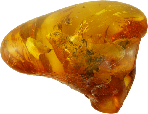 15,65 g Amber nugget with inclusion (1)