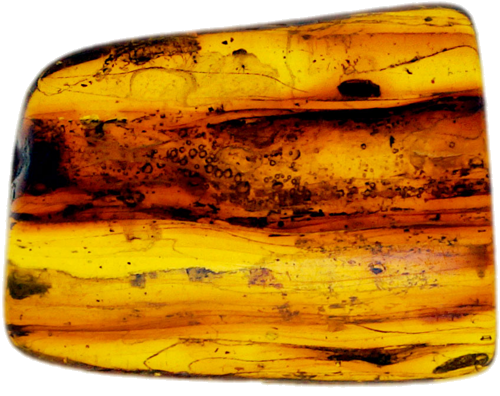 Самородок янтаря с инклюзом 1,70 г (1)