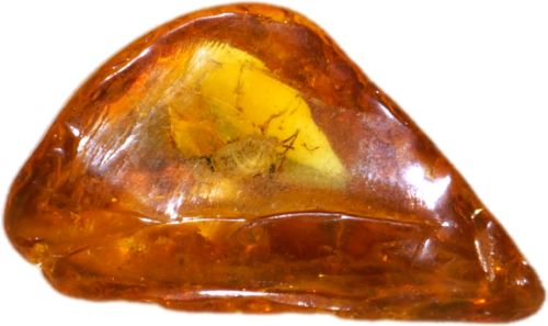 0,7 g Amber Nugget with inclusion (1)