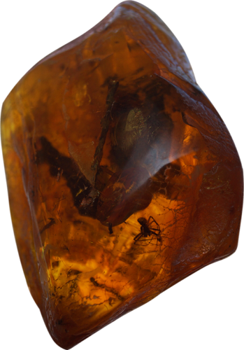 28 g Amber Nugget with inclusions (2)