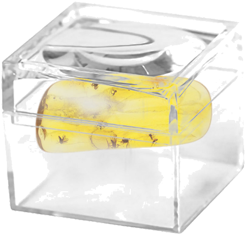 1,25 гр. Самороден кехлибар със 7 фосила (2)