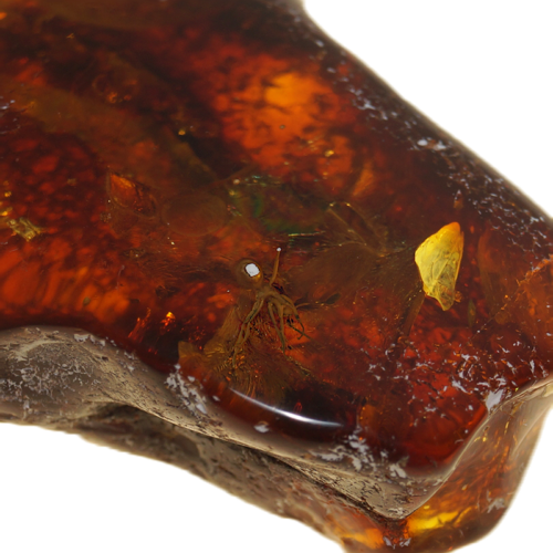15,50 g Amber Nugget with inclusion (2)