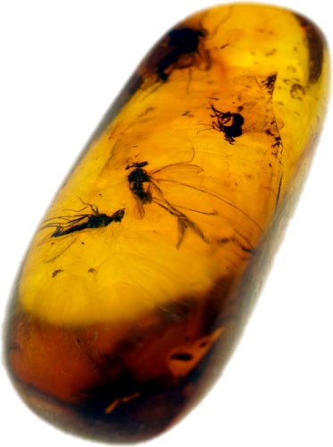 2,05 g Amber Nugget with inclusion (3)