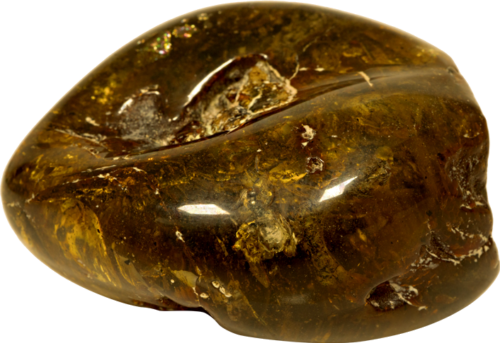 48,75 g Amber nugget with ant inclusion (4)