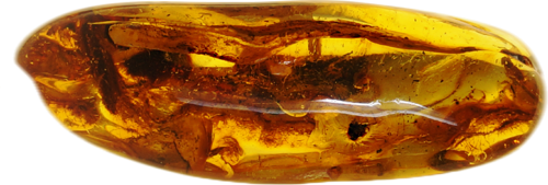 27,40 g Amber Nugget with inclusions (4)