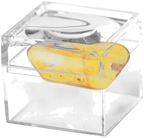 2,60 g Amber Nugget with inclusion (2)