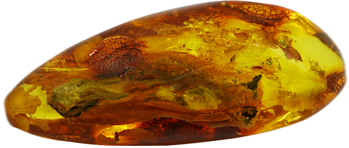 18,20 гр. Самороден кехлибар с фосил (4)