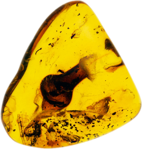 5,65 g Amber Nugget with inclusion (1)
