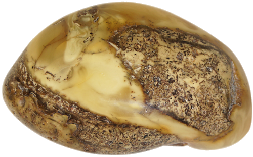 31,10 g Amber Nugget (1)