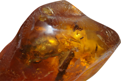 28 g Amber Nugget with inclusions (5)