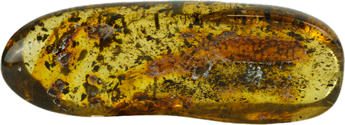 16,80 g Gintaro grynuolis (2)