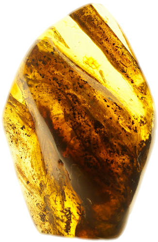 166 g Amber Nugget (1)