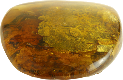 34,40 g Amber nugget with tree bark inclusion (3)