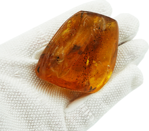 47,95 g Amber Nugget with ant inclusion (3)