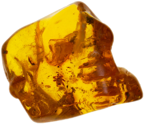 10,60 g Amber Nugget with Spider inclusion (1)