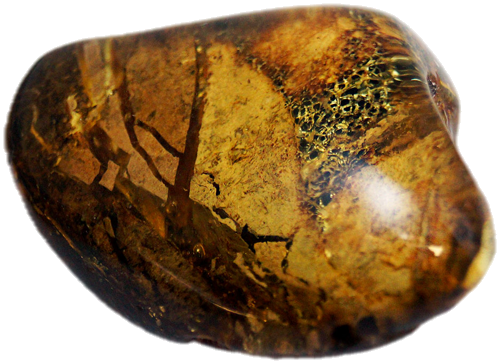 8,50 g Amber nugget with tree bark inclusion (2)