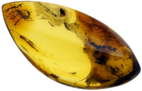 3,90 g Amber Nugget with inclusion (1)