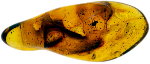 3,20 g Amber Nugget with inclusion (1)