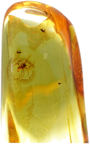 40,05 g Amber Nugget with inclusion (2)