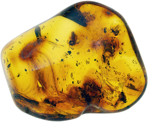 4,80 g Amber Nugget with inclusion (1)
