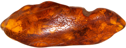 5,30 g Amber Nugget with spider inclusion (1)