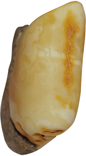 15 гр. Самороден кехлибар (3)