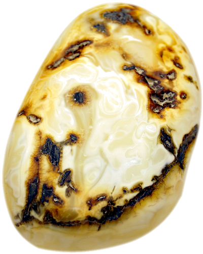 8.40 g Amber Nugget (3)