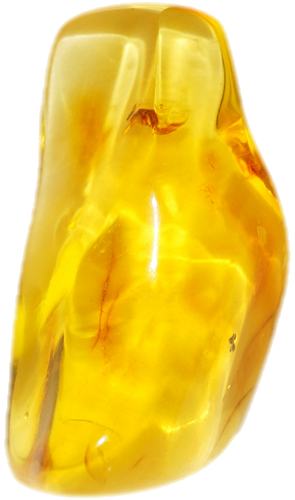 20,35 g Amber Nugget with inclusion (4)