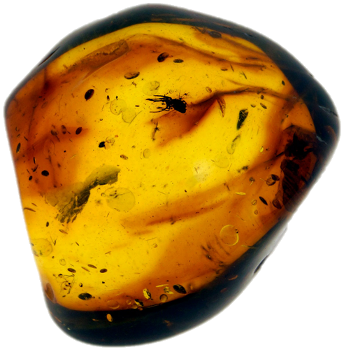 4,10 g Amber Nugget with inclusion (1)