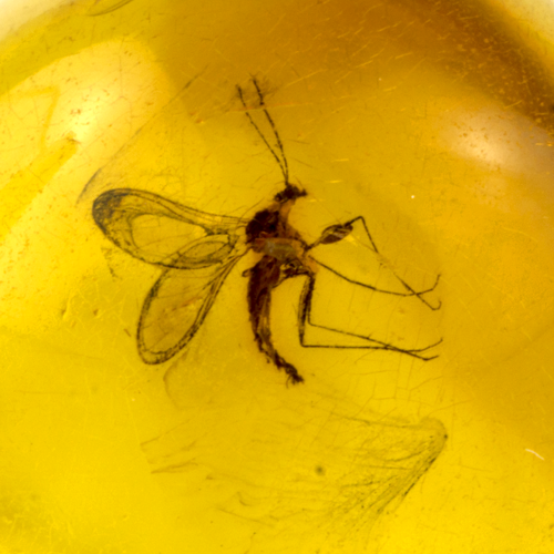 1,30 g Amber nugget with inclusion (2)