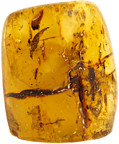 158 g Amber Nugget (1)