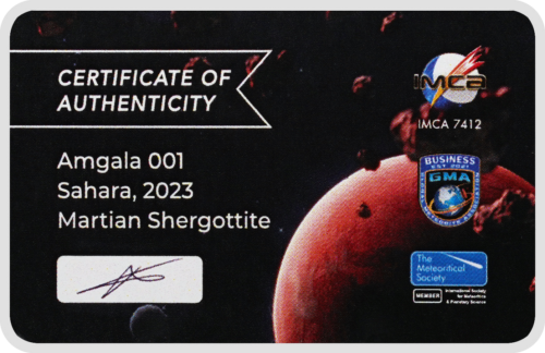 Martian Meteorite (2)