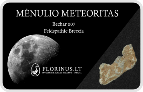 Lunar meteorīts (1)