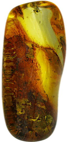 12,90 g Amber Nugget with inclusion (1)